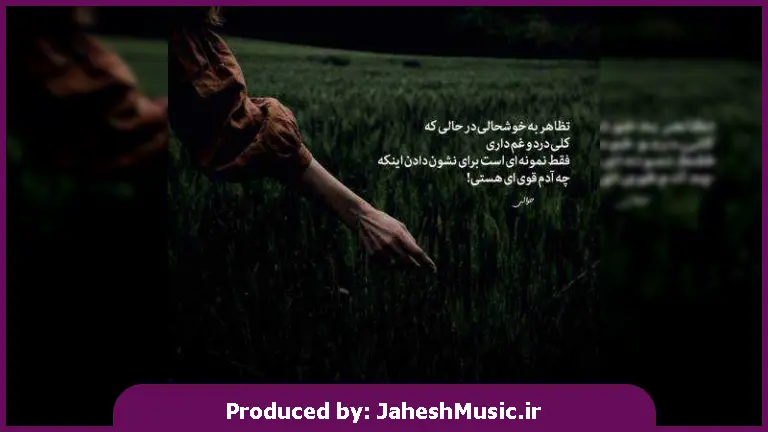 دانلود آهنگ صبر نکردی (از حال این روزام کسی چیزی بهت گفته خبر داری از اینکه عشقت داره کم کم از چشم میوفته خبر داری) 